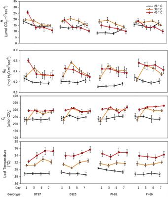 Characterization of Photosynthetic Phenotypes and Chloroplast Ultrastructural Changes of Soybean (Glycine max) in Response to Elevated Air Temperatures